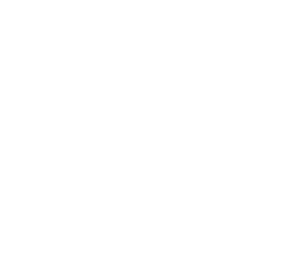 Blackstone Brockerage - Expertise Logo White